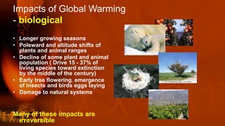 Impacts of Global Warming
- biological
• Longer growing seasons
• Poleward and altitude shifts of
plants and animal ranges
• Decline of some plant and animal
population ( Drive 15 - 37% of
living species toward extinction
by the middle of the century)
• Early tree flowering, emergence
of insects and birds eggs laying
• Damage to natural systems
Many of these impacts are
irreversible
 