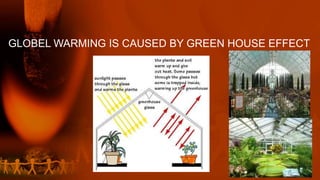 GLOBEL WARMING IS CAUSED BY GREEN HOUSE EFFECT
 
