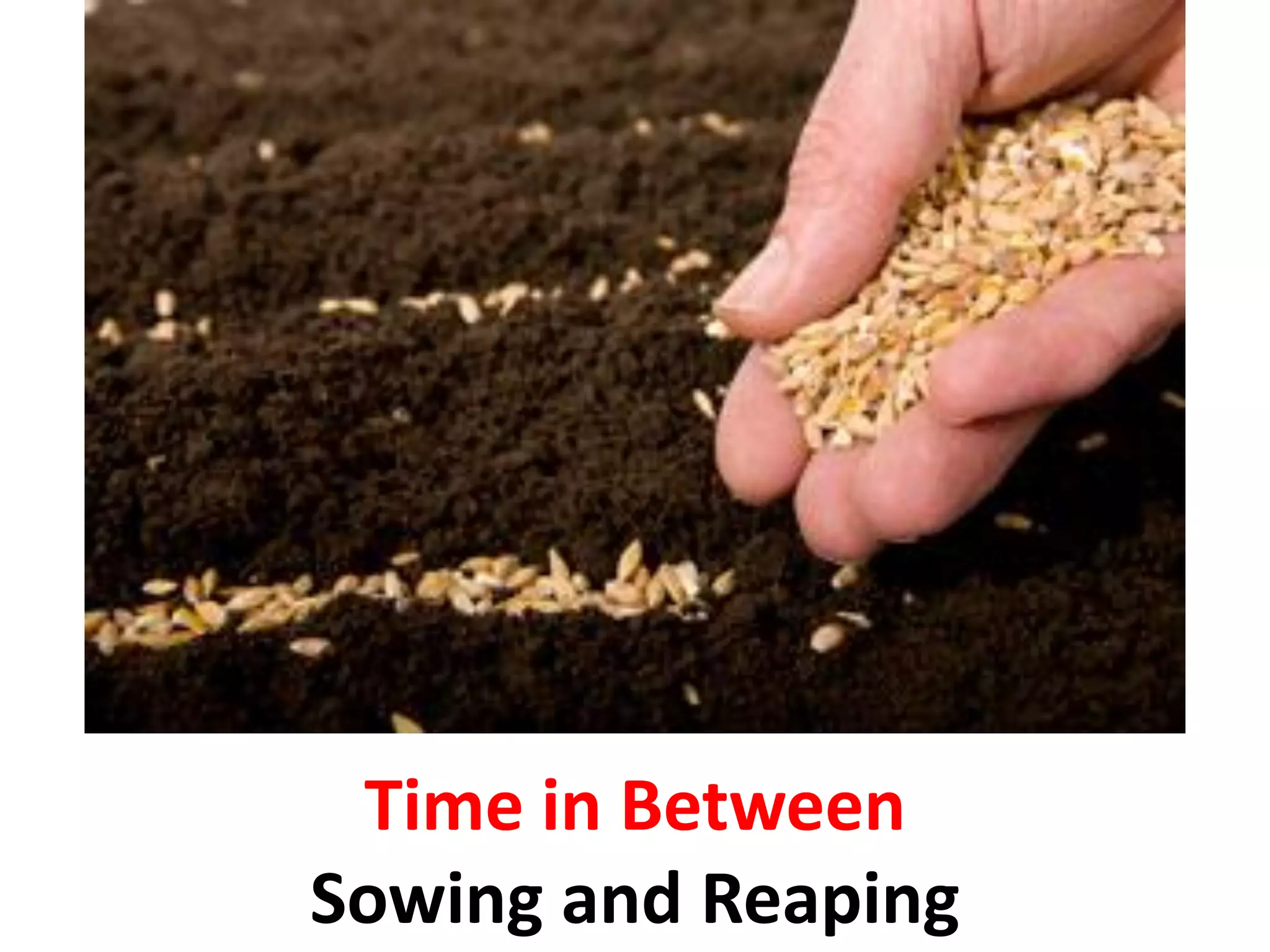 Time in Between
Sowing and Reaping
 