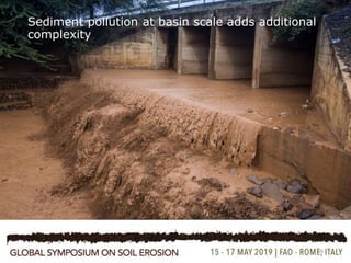 Integrating data and assessment evidence across disciplines to co-design soil erosion solutions in degraded pastoral land 