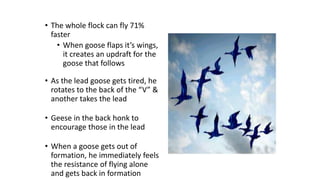 • The whole flock can fly 71%
faster
• When goose flaps it’s wings,
it creates an updraft for the
goose that follows
• As the lead goose gets tired, he
rotates to the back of the “V” &
another takes the lead
• Geese in the back honk to
encourage those in the lead
• When a goose gets out of
formation, he immediately feels
the resistance of flying alone
and gets back in formation
 