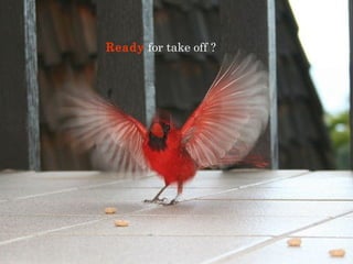 Ready for take off ? 
 