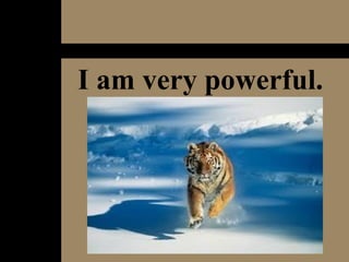 I am very powerful. 
 