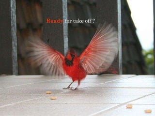 Ready  for take off ?  