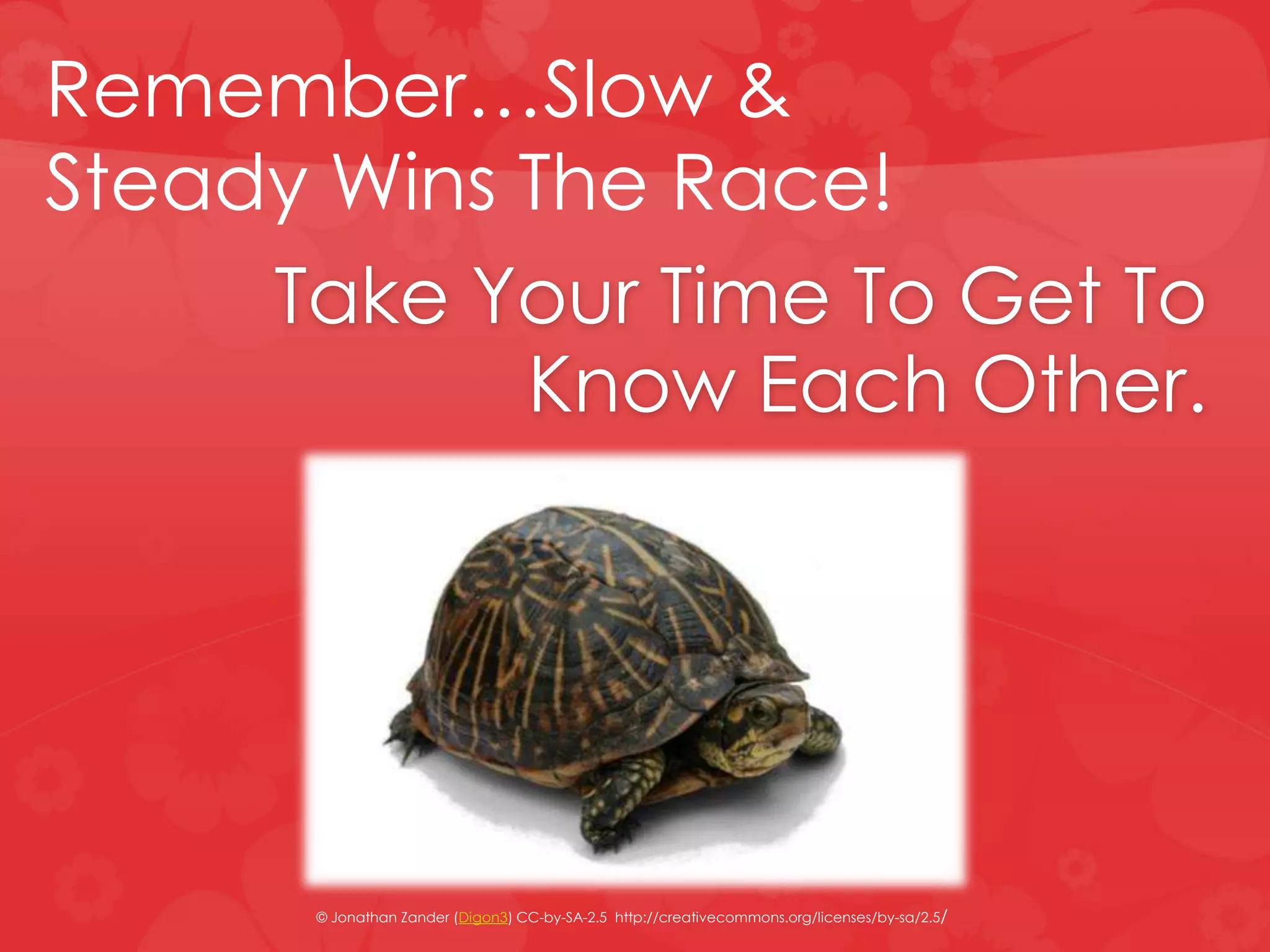 Take Your Time To Get To
Know Each Other.
Remember…Slow &
Steady Wins The Race!
© Jonathan Zander (Digon3) CC-by-SA-2.5 http://creativecommons.org/licenses/by-sa/2.5/
 