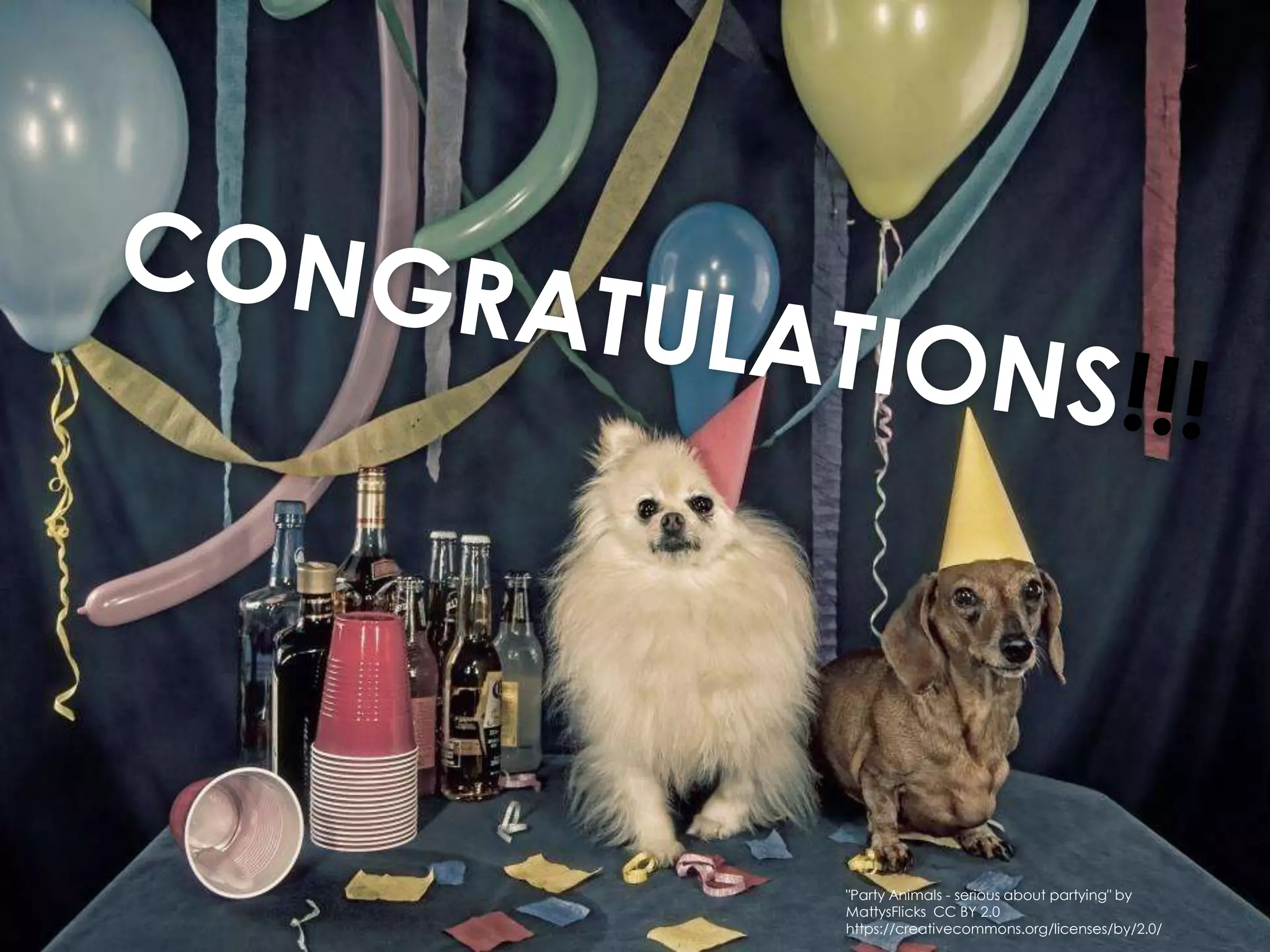 "Party Animals - serious about partying" by
MattysFlicks CC BY 2.0
https://creativecommons.org/licenses/by/2.0/
 