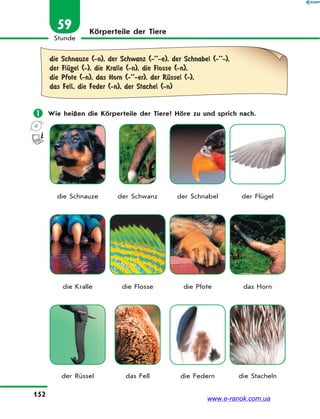 152
Stunde
59 Körperteile der Tiere
die Schnauze (-n), der Schwanz (-’’-e), der Schnabel (-’’-),
der FlЋgel (-), die Kralle (-n), die Flosse (-n),
die Pfote (-n), das Horn (-’’-er), der RЋssel (-),
das Fell, die Feder (-n), der Stachel (-n)
 Wie heißen die Körperteile der Tiere? Höre zu und sprich nach.
die Schnauze der Schwanz der Schnabel der Flügel
die Kralle die Flosse die Pfote das Horn
der Rüssel das Fell die Federn die Stacheln
www.e-ranok.com.ua
 