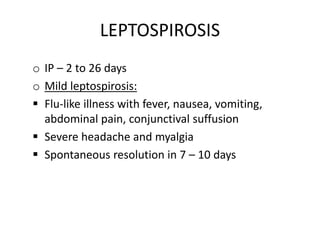 LEPTOSPIROSIS
o IP – 2 to 26 days
o Mild leptospirosis:
 Flu-like illness with fever, nausea, vomiting,
abdominal pain, conjunctival suffusion
 Severe headache and myalgia
 Spontaneous resolution in 7 – 10 days
 