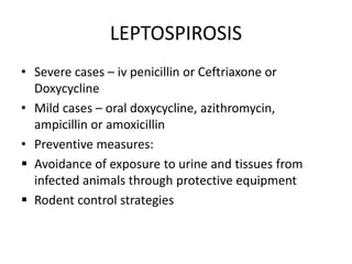 LEPTOSPIROSIS
• Severe cases – iv penicillin or Ceftriaxone or
Doxycycline
• Mild cases – oral doxycycline, azithromycin,
ampicillin or amoxicillin
• Preventive measures:
 Avoidance of exposure to urine and tissues from
infected animals through protective equipment
 Rodent control strategies
 