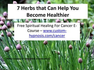 7 Herbs that Can Help You Become Healthier Free Spiritual Healing For Cancer E-Course – www.custom-hypnosis.com/cancer Photo Courtesy of sloopjphnb at www.sxc.hu 