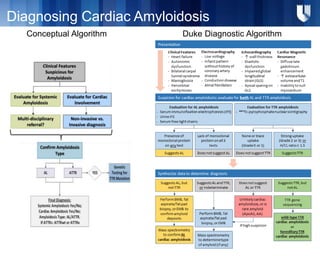Cardiac Amyloidosis: Diagnostic & Therapeutic Approaches | PPTX