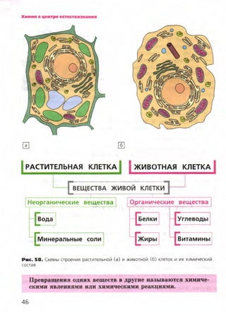 7hg 140314050705-phpapp02