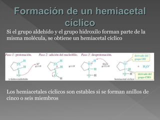 Formación de un hemiacetal
cíclico
Si el grupo aldehído y el grupo hidroxilo forman parte de la
misma molécula, se obtiene un hemiacetal cíclico
Los hemiacetales cíclicos son estables si se forman anillos de
cinco o seis miembros
 