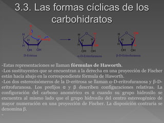 H
O
O
H
O H
OH
H
H
H
OH
H
OH
H
OH
H
OH
H
H
O
H
OH
H
OH
H
OH
H
H
D-Eritrosa -D-Eritrofuranosa -D-Eritrofuranosa
3.3. Las formas cíclicas de los
carbohidratos
-Estas representaciones se llaman fórmulas de Haworth.
-Los sustituyentes que se encuentran a la derecha en una proyección de Fischer
están hacia abajo en la correspondiente fórmula de Haworth.
-Los dos estereoisómeros de la D-eritrosa se llaman α-D-eritrofuranosa y β-D-
eritrofuranosa. Los prefijos α y β describen configuraciones relativas. La
configuración del carbono anomérico es α cuando su grupo hidroxilo se
encuentra al mismo lado que el grupo hidroxilo del centro estereogénico de
mayor numeración en una proyección de Fischer. La disposición contraria se
denomina β.
-
 