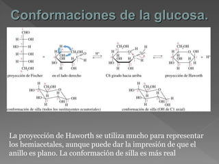 Conformaciones de la glucosa.
La proyección de Haworth se utiliza mucho para representar
los hemiacetales, aunque puede dar la impresión de que el
anillo es plano. La conformación de silla es más real
 