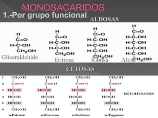1.-Por grupo funcional
Gliceraldehido Eritrosa Ribosa Alosa
ALDOSAS
CETOSAS
 