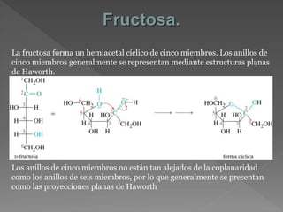 La fructosa forma un hemiacetal cíclico de cinco miembros. Los anillos de
cinco miembros generalmente se representan mediante estructuras planas
de Haworth.
Fructosa.
Los anillos de cinco miembros no están tan alejados de la coplanaridad
como los anillos de seis miembros, por lo que generalmente se presentan
como las proyecciones planas de Haworth
 