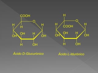 O
H
OH
H
OH
OH
H
H
OH
H
COOH
O
H
OH
H
OH
OH
H
H
OH
H
COOH
Ácido D-Glucurónico Ácido L-Idurónico
 