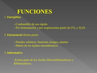FUNCIONES
1. Energética
- Combustible de uso rápido
- Por fermentación y por respiración(a partir de CO2 y H2O)
2. Estructural (forma parte)
- Paredes celulares: bacterias, hongos, plantas
- Matriz de los tejidos mesodérmicos
3. Informativa
-Forma parte de los Ácidos Desoxiribonucleicos y
Ribonucleicos.
 