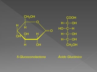 O
H
OH
OH
H
H
OH
H
CH2OH
O
5-Glucoconolactona
C OH
H
C H
HO
C OH
H
C OH
H
CH2OH
COOH
Ácido Glucónico
 
