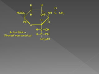 O
OH
C
H
H
H
OH
H
NH C
O
CH3
H
C
C
CH2OH
OH
H
OH
H
HOO
Ácido Siálico
(N-acetil neuramínico)
 
