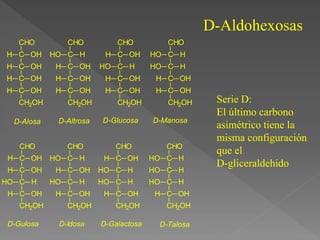 CHO
C
C
OH
H
OH
H
C OH
H
C OH
H
CH2OH
CHO
C
C
H
HO
OH
H
C OH
H
C OH
H
CH2OH
CHO
C
C
OH
H
H
HO
C OH
H
C OH
H
CH2OH
CHO
C
C
H
HO
H
HO
C OH
H
C OH
H
CH2OH
D-Alosa D-Altrosa D-Glucosa D-Manosa
CHO
C
C
OH
H
OH
H
C H
HO
C OH
H
CH2OH
CHO
C
C
H
HO
OH
H
C H
HO
C OH
H
CH2OH
CHO
C
C
OH
H
H
HO
C H
HO
C OH
H
CH2OH
CHO
C
C
H
HO
H
HO
C H
HO
C OH
H
CH2OH
D-Gulosa D-Idosa D-Galactosa D-Talosa
D-Aldohexosas
Serie D:
El último carbono
asimétrico tiene la
misma configuración
que el
D-gliceraldehido
 