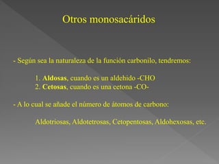 Otros monosacáridos
- Según sea la naturaleza de la función carbonilo, tendremos:
1. Aldosas, cuando es un aldehido -CHO
2. Cetosas, cuando es una cetona -CO-
- A lo cual se añade el número de átomos de carbono:
Aldotriosas, Aldotetrosas, Cetopentosas, Aldohexosas, etc.
 