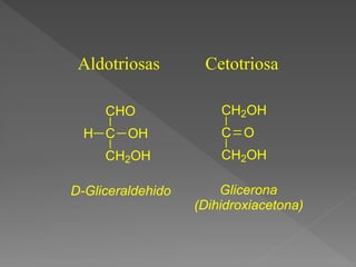 Aldotriosas
CHO
C
H OH
CH2OH
CH2OH
C O
CH2OH
D-Gliceraldehido Glicerona
(Dihidroxiacetona)
Cetotriosa
 