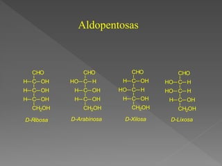 CHO
C
C
OH
H
OH
H
C
CH2OH
OH
H
CHO
C
C
H
HO
OH
H
C
CH2OH
OH
H
CHO
C
C
OH
H
H
HO
C
CH2OH
OH
H
CHO
C
C
H
HO
H
HO
C
CH2OH
OH
H
D-Ribosa D-Arabinosa D-Xilosa D-Lixosa
Aldopentosas
 