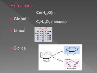  Global :
 Lineal
 Ciclica
Cn(H2nO)n
C6H12O6 (hexosa)
 