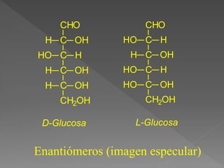 CHO
C
C
OH
H
H
HO
C OH
H
C OH
H
CH2OH
D-Glucosa
CHO
C
C
H
HO
OH
H
C H
HO
C OH
HO
CH2OH
L-Glucosa
Enantiómeros (imagen especular)
 