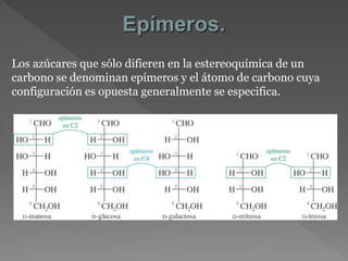 Epímeros.
Los azúcares que sólo difieren en la estereoquímica de un
carbono se denominan epímeros y el átomo de carbono cuya
configuración es opuesta generalmente se especifica.
 