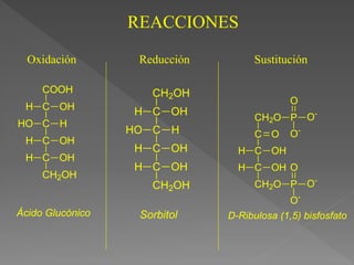 CH2O
C O
C
C
OH
H
OH
H
CH2O P
O
O-
O-
P
O
O-
O-
D-Ribulosa (1,5) bisfosfato
C OH
H
C H
HO
C OH
H
C OH
H
CH2OH
COOH
Ácido Glucónico
C OH
H
C H
HO
C OH
H
C OH
H
CH2OH
CH2OH
Sorbitol
REACCIONES
Oxidación Reducción Sustitución
 