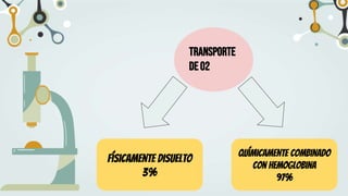 Transporte
deO2
Físicamente disuelto
3%
Químicamente combinado
con Hemoglobina
97%
 