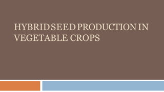 HYBRIDSEEDPRODUCTION IN
VEGETABLE CROPS
 