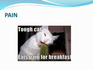 PAIN
 