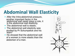 Abdominal Wall Elasticity
 After the Intra-abdominal pressure,
another important factor in the
abdominal wall repair plays a role, it
is the abdominal wall elasticity.
 The abdominal wall is elastic.
 The abdominal wall elasticity was
studied by Pr Schumpelick and his
team*
 He showed that the abdominal wall
of a women is more elastic than the
abdomen of a man.
 