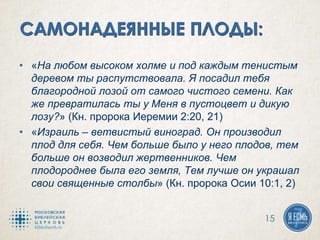 • «На любом высоком холме и под каждым тенистым
деревом ты распутствовала. Я посадил тебя
благородной лозой от самого чистого семени. Как
же превратилась ты у Меня в пустоцвет и дикую
лозу?» (Кн. пророка Иеремии 2:20, 21)
• «Израиль – ветвистый виноград. Он производил
плод для себя. Чем больше было у него плодов, тем
больше он возводил жертвенников. Чем
плодороднее была его земля, Тем лучше он украшал
свои священные столбы» (Кн. пророка Осии 10:1, 2)
15
 