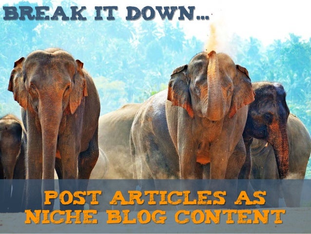 7 Ideas to Use PLR Products