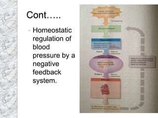 Cont…..
 Homeostatic
regulation of
blood
pressure by a
negative
feedback
system.
 