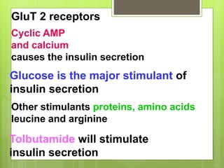 Glucose is the major stimulant of
insulin secretion
GluT 2 receptors
Cyclic AMP
and calcium
causes the insulin secretion
Other stimulants proteins, amino acids
leucine and arginine
Tolbutamide will stimulate
insulin secretion
 