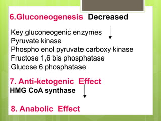6.Gluconeogenesis Decreased
Key gluconeogenic enzymes
Pyruvate kinase
Phospho enol pyruvate carboxy kinase
Fructose 1,6 bis phosphatase
Glucose 6 phosphatase
8. Anabolic Effect
7. Anti-ketogenic Effect
HMG CoA synthase
 