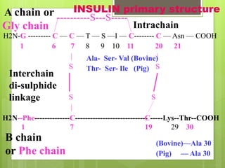 H2N-G --------- C — C — T — S —I — C-------- C — Asn — COOH
1 6 7 8 9 10 11 20 21
| |
S S
S S
|
A chain or
Gly chain
H2N--Phe--------------C-----------------------------
1 7
C-----Lys--Thr--COOH
19 29 30
B chain
or Phe chain
Ala- Ser- Val (Bovine)
Thr- Ser- Ile (Pig)
(Bovine)—Ala 30
(Pig) — Ala 30
----------S---S-----
INSULIN primary structure
Interchain
di-sulphide
linkage
Intrachain
 