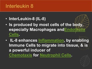 Interleukin 8
• InterLeukin-8 (IL-8)
• Is produced by most cells of the body,
especially Macrophages andEndothelia
Cells.
• IL-8 enhances Inflammation, by enabling
Immune Cells to migrate into tissue, & is
a powerful inducer of
Chemotaxis for Neutrophil Cells.
 