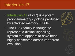 Interleukin 17
• Interleukin 17 (IL-17) is a potent
proinflammatory cytokine produced
by activated memory T cells.
• The IL-17 family is thought to
represent a distinct signalling
system that appears to have been
highly conserved across vertebrate
evolution.
 