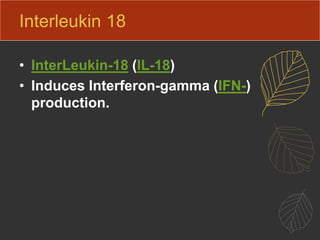 Interleukin 18
• InterLeukin-18 (IL-18)
• Induces Interferon-gamma (IFN-)
production.
 