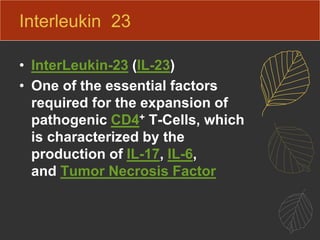 Interleukin 23
• InterLeukin-23 (IL-23)
• One of the essential factors
required for the expansion of
pathogenic CD4+ T-Cells, which
is characterized by the
production of IL-17, IL-6,
and Tumor Necrosis Factor
 