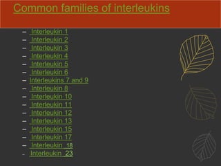 Common families of interleukins
– Interleukin 1
– Interleukin 2
– Interleukin 3
– Interleukin 4
– Interleukin 5
– Interleukin 6
– Interleukins 7 and 9
– Interleukin 8
– Interleukin 10
– Interleukin 11
– Interleukin 12
– Interleukin 13
– Interleukin 15
– Interleukin 17
– Interleukin 18
– Interleukin 23
 