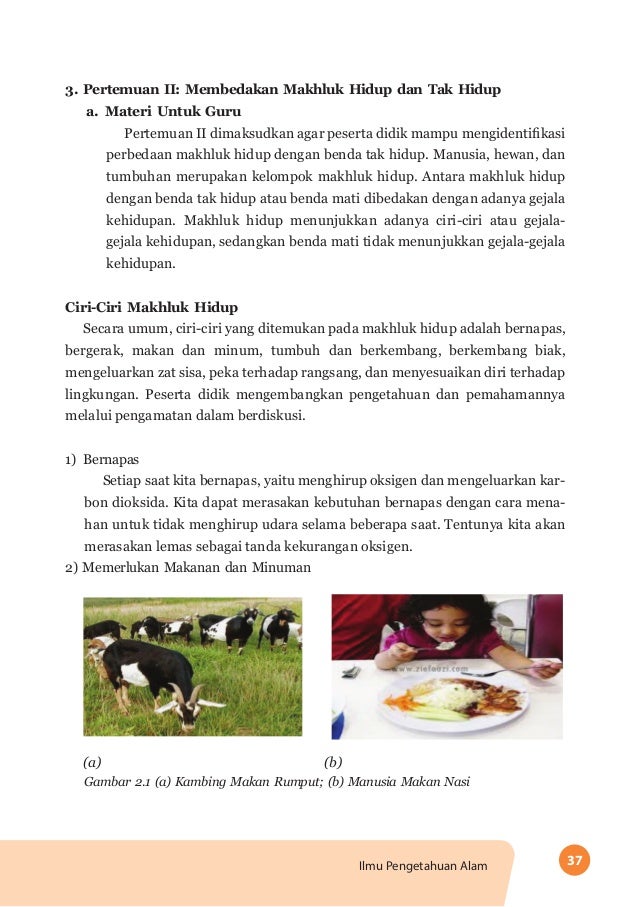 7 Ipa Bukuguru