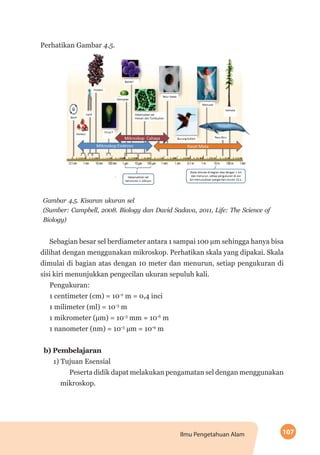 107Ilmu Pengetahuan Alam
Perhatikan Gambar 4.5.
Gambar 4.5. Kisaran ukuran sel
(Sumber: Campbell, 2008. Biology dan David Sadava, 2011, Life: The Science of
Biology)
Sebagian besar sel berdiameter antara 1 sampai 100 µm sehingga hanya bisa
dilihat dengan menggunakan mikroskop. Perhatikan skala yang dipakai. Skala
dimulai di bagian atas dengan 10 meter dan menurun, setiap pengukuran di
sisi kiri menunjukkan pengecilan ukuran sepuluh kali.
Pengukuran:
1 centimeter (cm) = 10-2
m = 0,4 inci
1 milimeter (ml) = 10-3
m
1 mikrometer (µm) = 10-3
mm = 10-6
m
1 nanometer (nm) = 10-3
µm = 10-9
m
b)	Pembelajaran
1) Tujuan Esensial
Peserta didik dapat melakukan pengamatan sel dengan menggunakan
mikroskop.
 